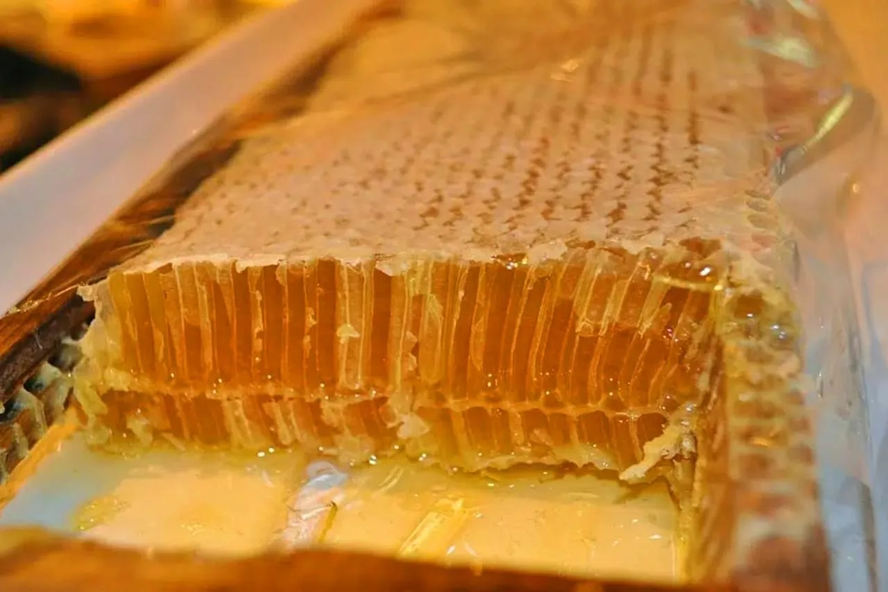 Bee Products-Honey Comb