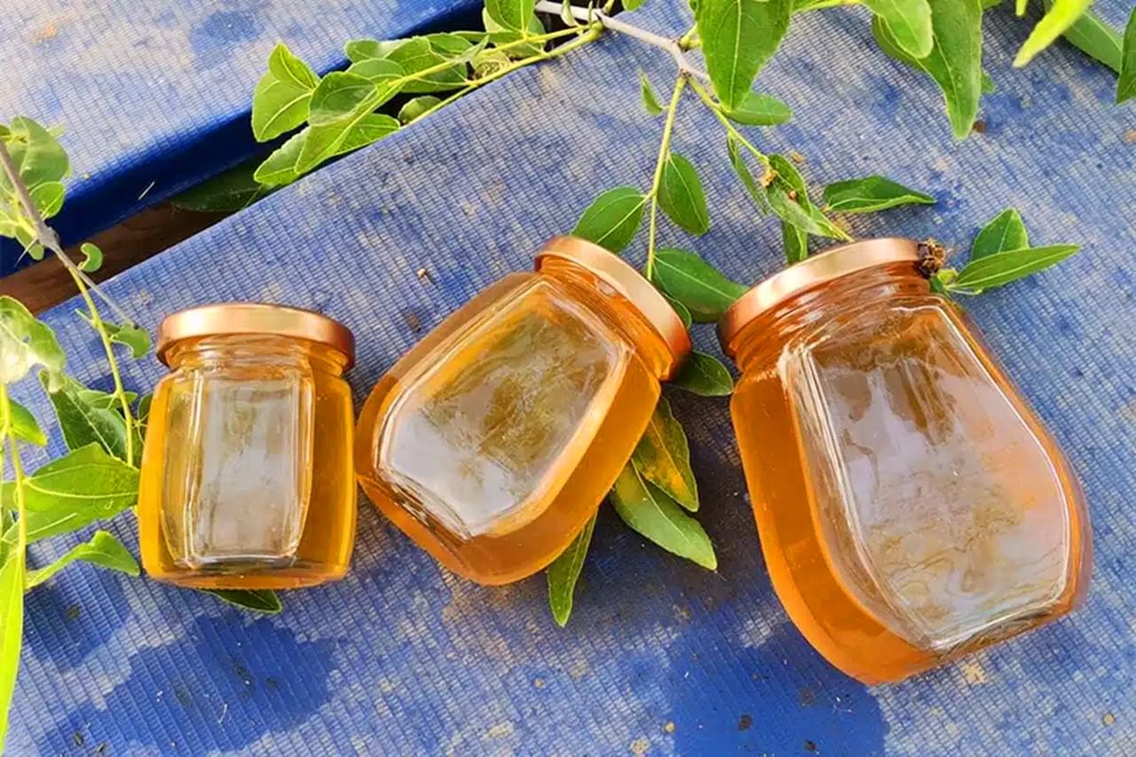 Bee Products-Jujube Honey