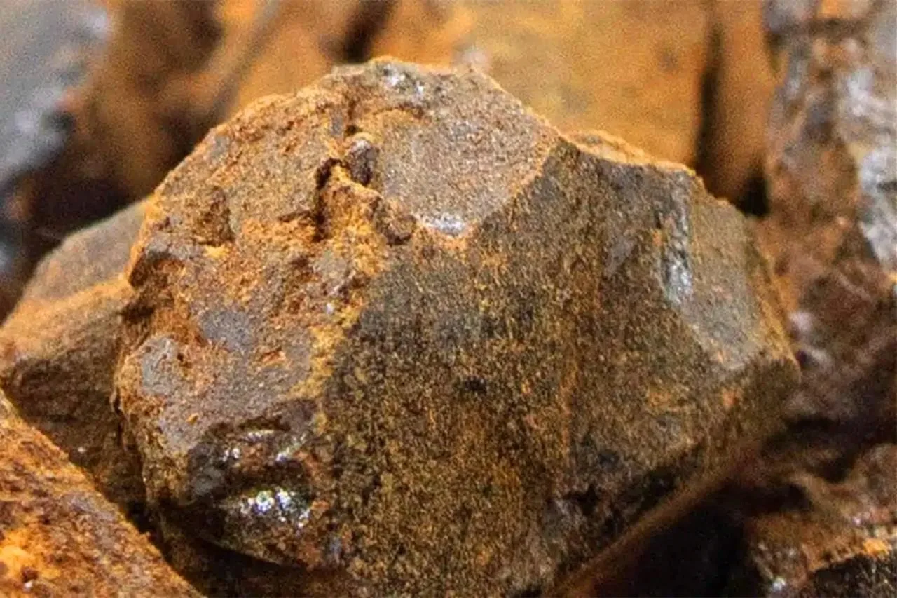 Bee Products-Propolis