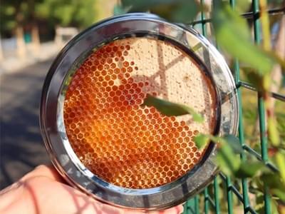 قرص العسل من علبة الصفيح